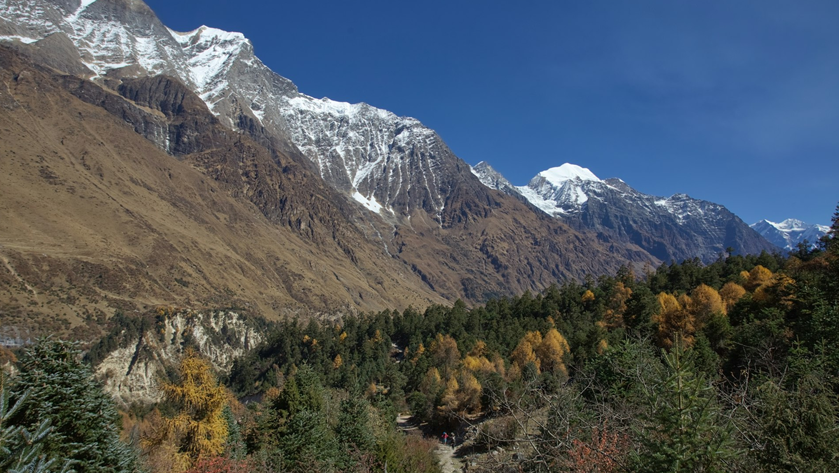 Trekking Nepal